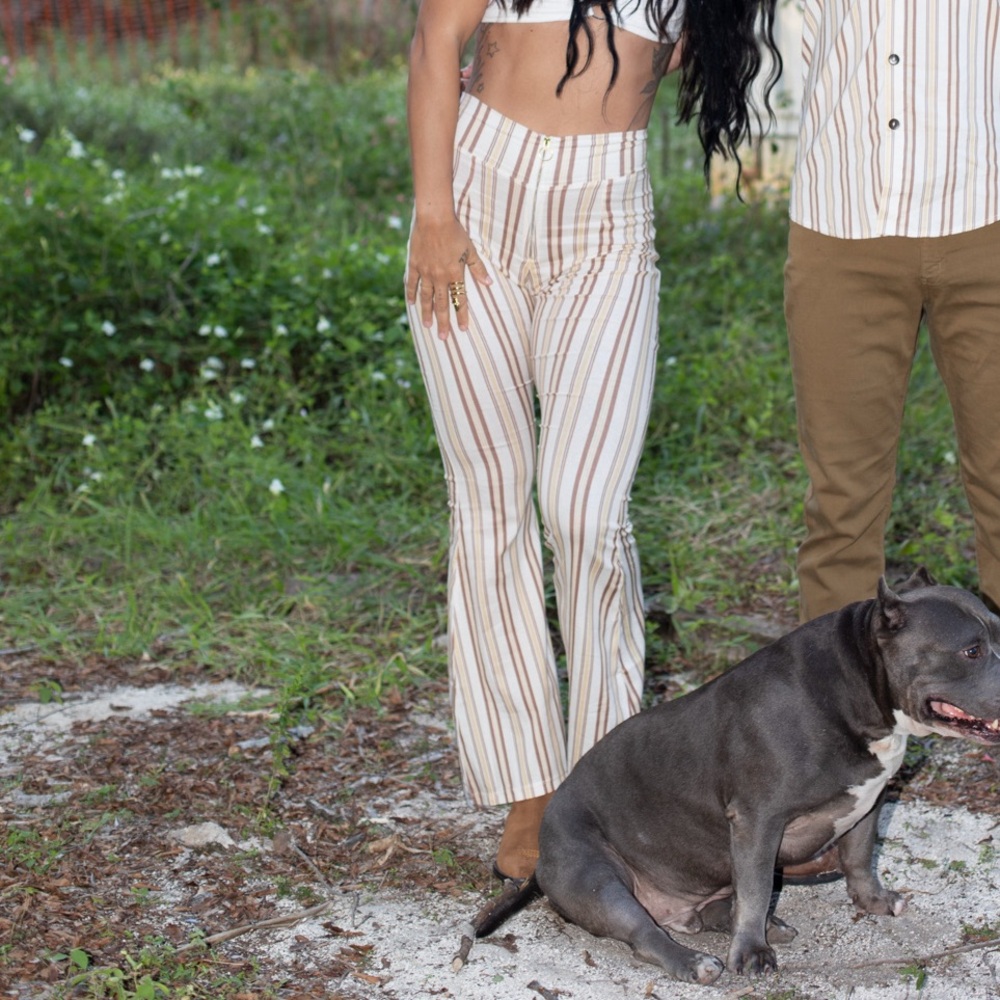 her pony the ba striped bell pants